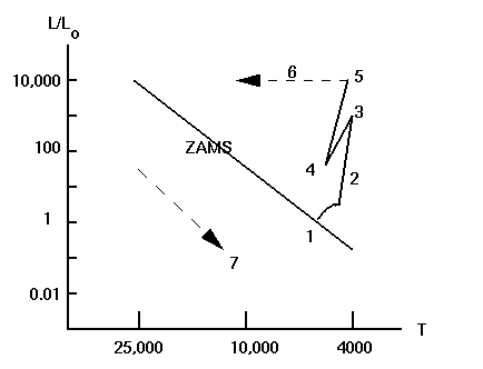 Evolutionary Track