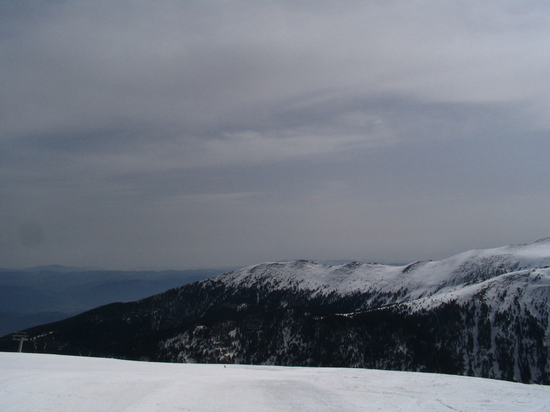 20050409-103458