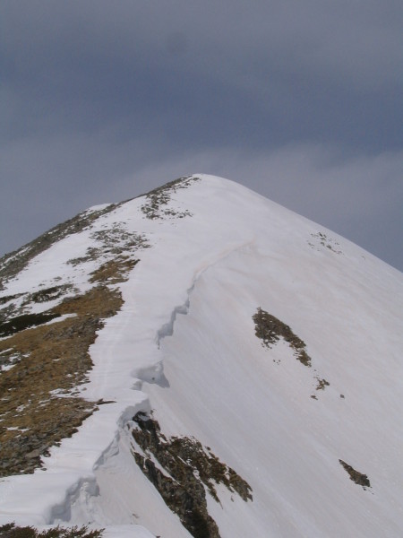 20050409-125545