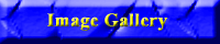 Image Gallery