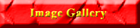 Image Gallery