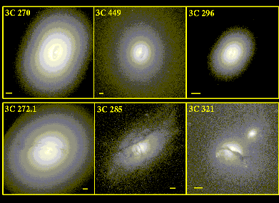 Radio galaxies