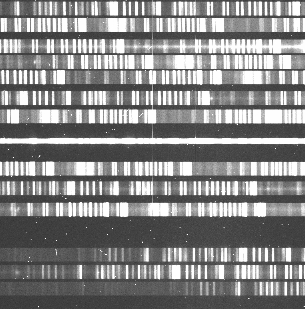 GMOS raw multispectral data